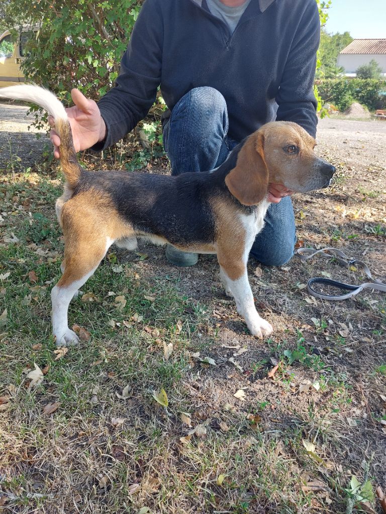 Publication : Des Echos Des Varrennes