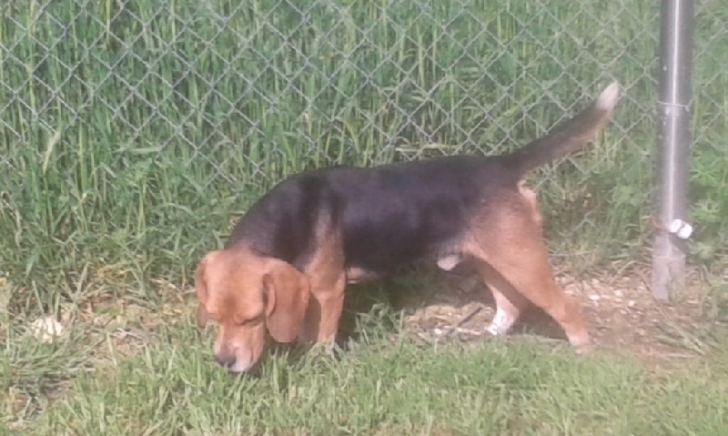 Publication : Des Echos Des Varrennes