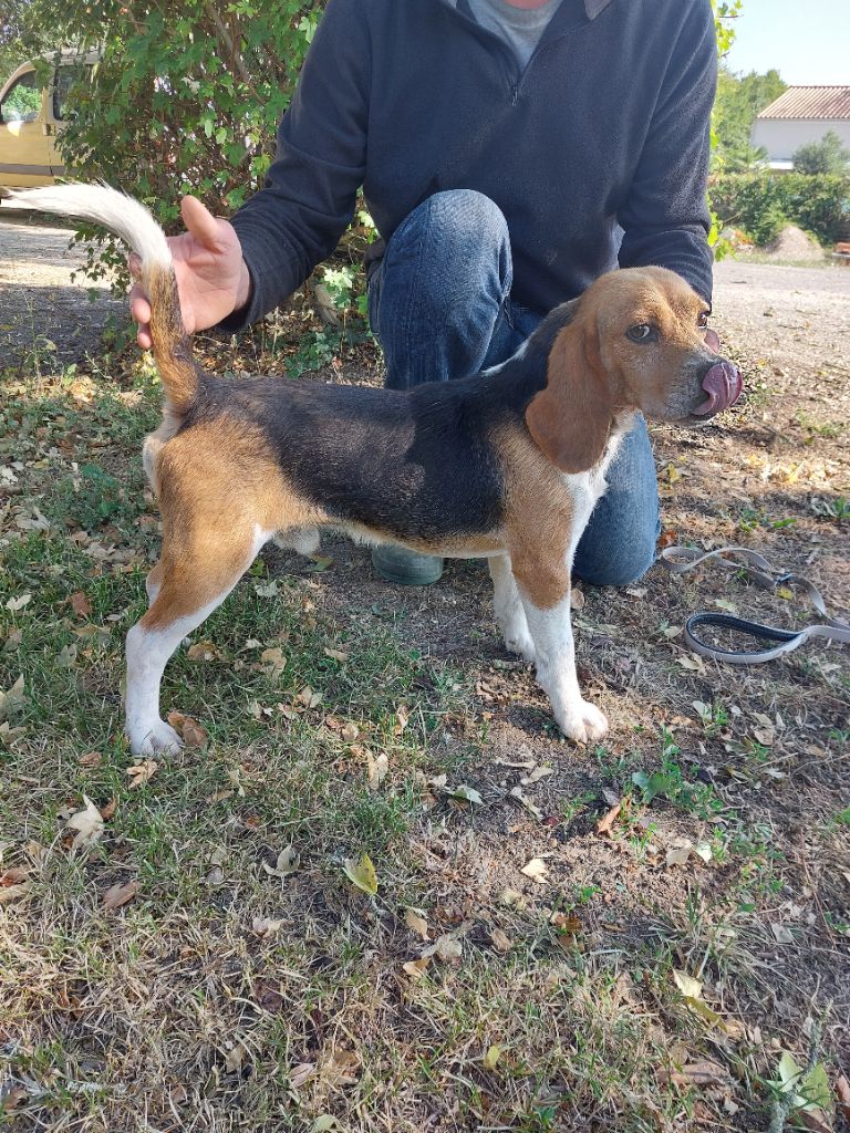 Publication : Des Echos Des Varrennes