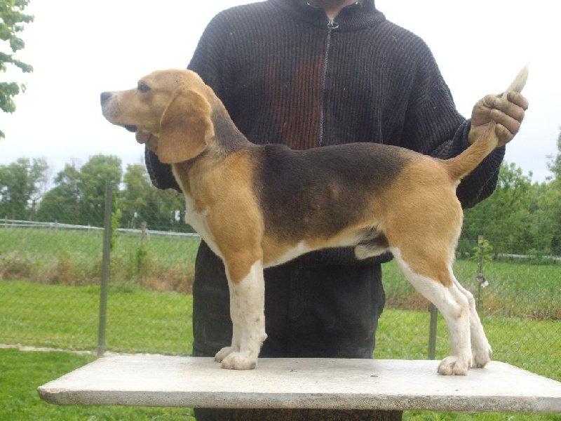 Publication : Des Echos Des Varrennes