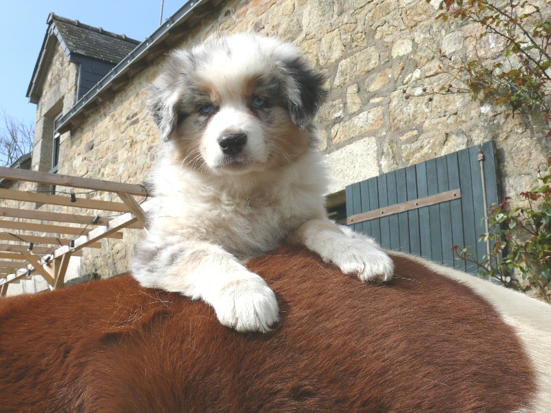 Gaïa blue girl Des  mazellières