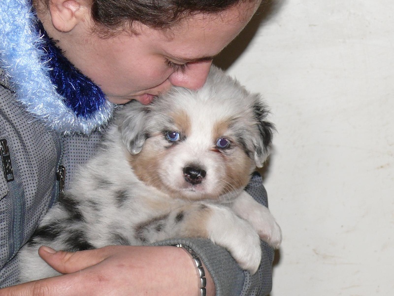 Gaïa blue girl Des  mazellières