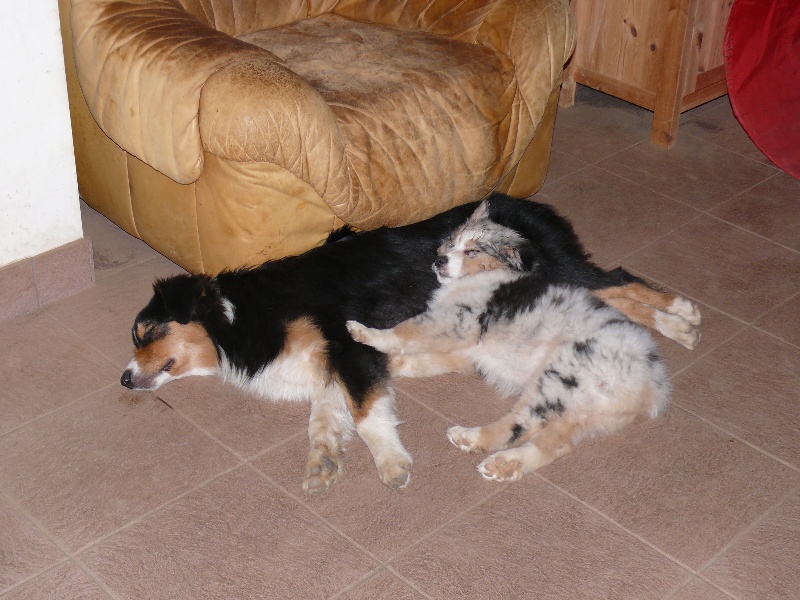 Gaïa blue girl Des  mazellières