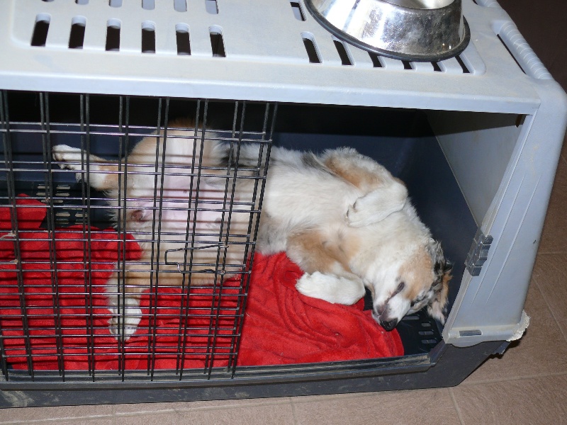 Gaïa blue girl Des  mazellières