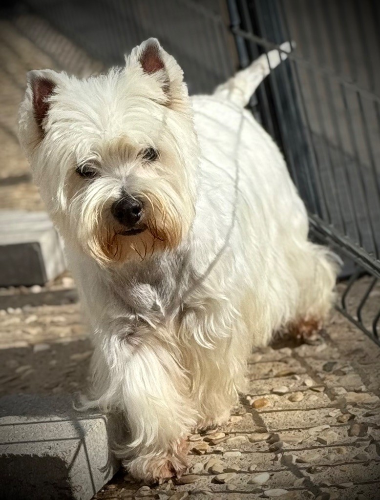 Tutti frutti De La Douce Source