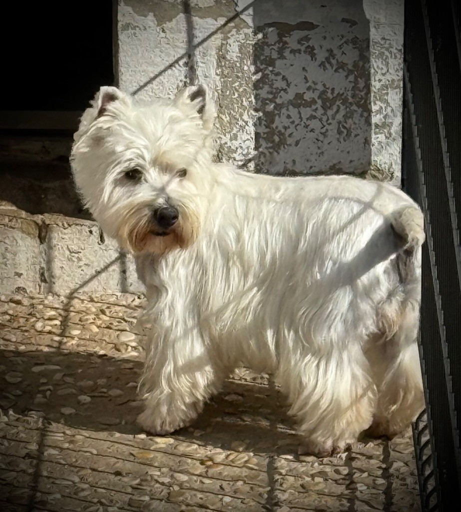 Tutti frutti De La Douce Source