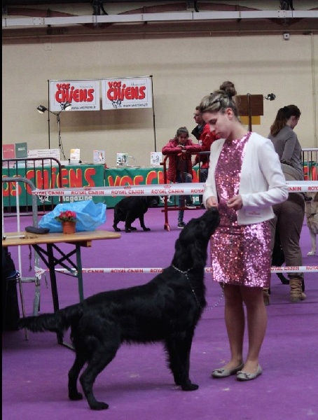 TR. CH. Honiahaka du clos des vignes de savrony - 2ème Excellent classe Travail