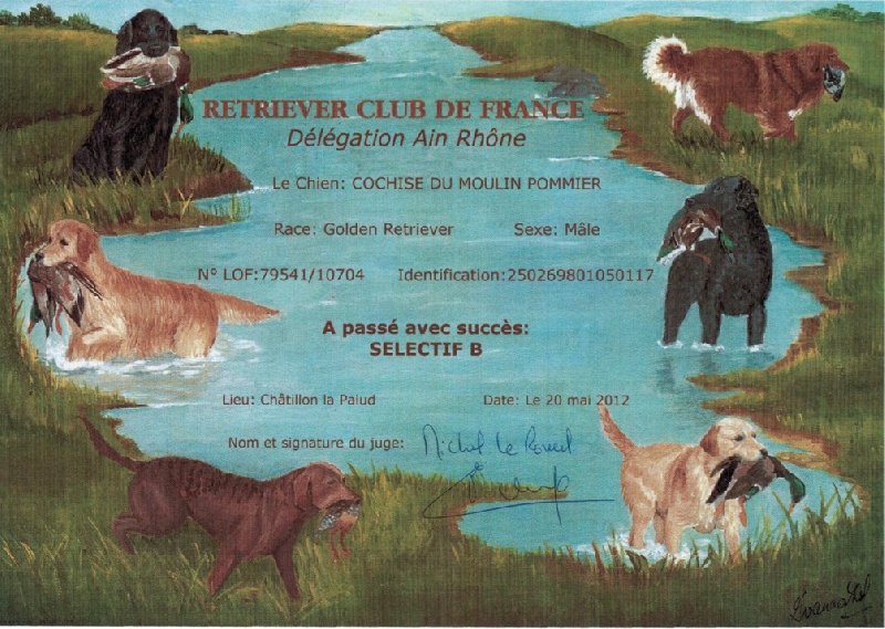 CH. Cochise Du moulin pommier - SELECTF B