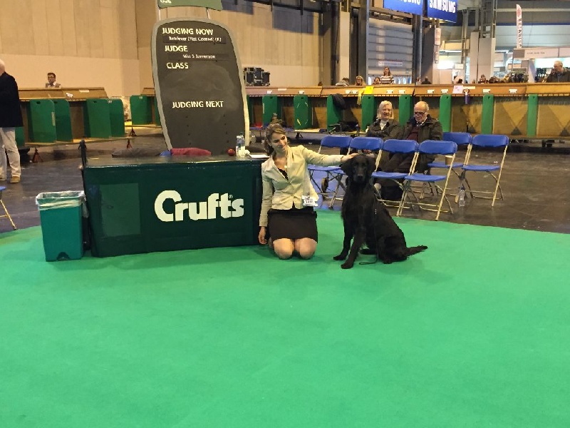 TR. CH. Honiahaka du clos des vignes de savrony - PARTICIPATION A CRUFTS