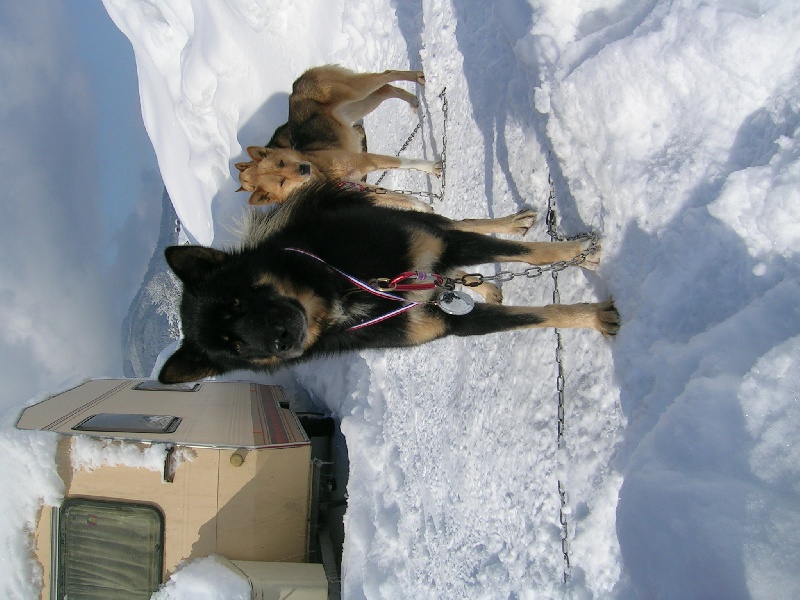 Publication : Of amarit