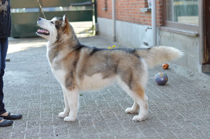 Publication : kinuk's