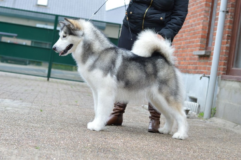 Publication : kinuk's