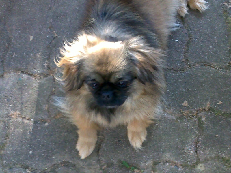 Publication : of my roby love