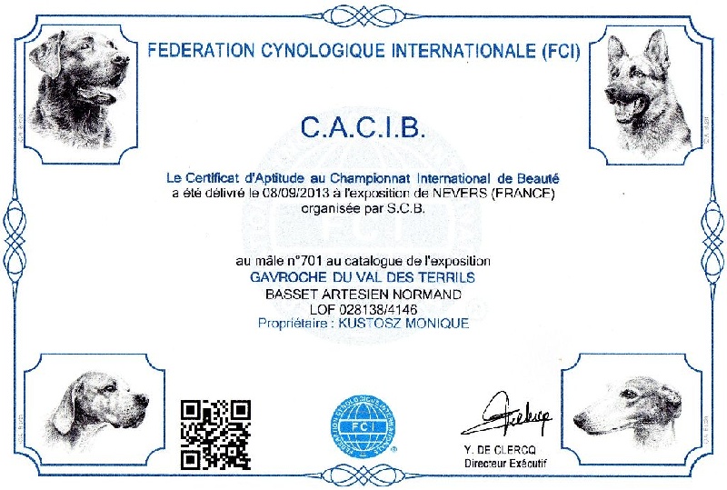 CH. Gavroche Du val des terrils - 1° Excellent-CACS+RCACIB en Cl. ouverte
