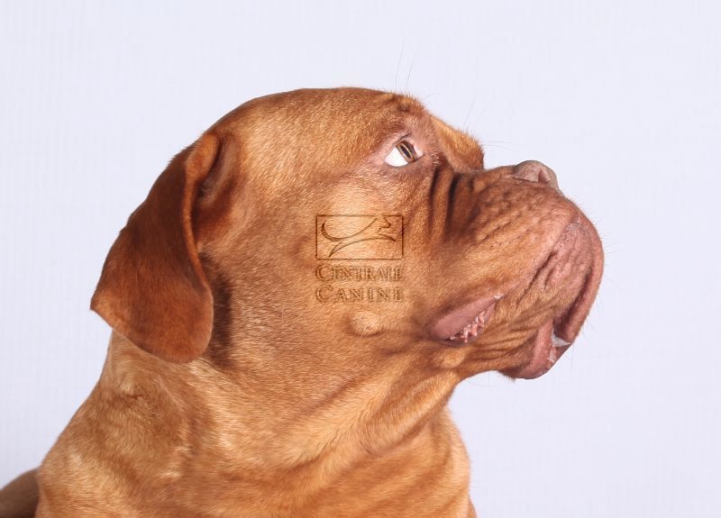 Publication : Du Domaine De Morfonde