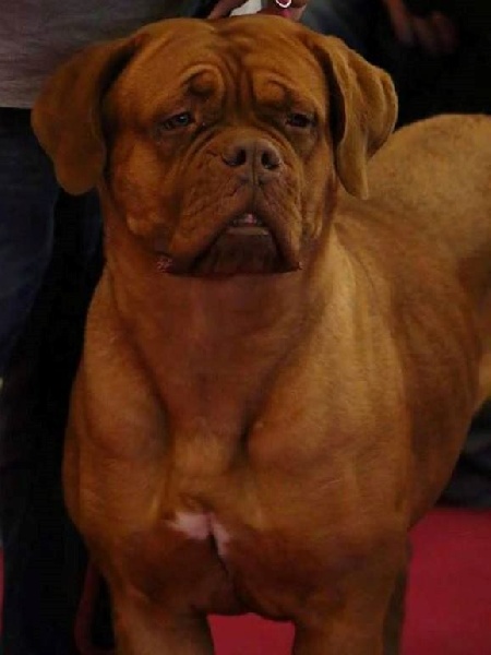 Publication : Du Domaine De Morfonde