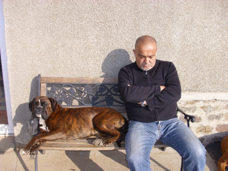 Publication : De Best Marosan