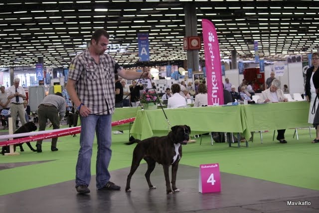 Datcha de la Tour Couronnée - 4eme tres bon classe ouverte