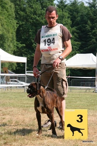 Datcha de la Tour Couronnée - 3eme excellent classe intermediaire