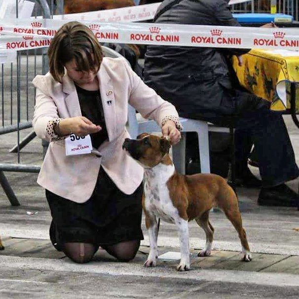 Demon Black Life is a fight you must win - 2ème ex JF