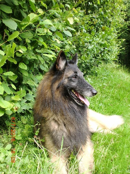 Publication : Du Cap Espérance Auteur : Isabelle Druelle