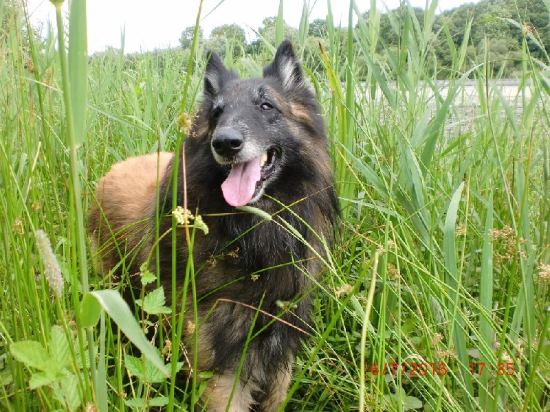 Publication : Du Cap Espérance Auteur : Isabelle Druelle