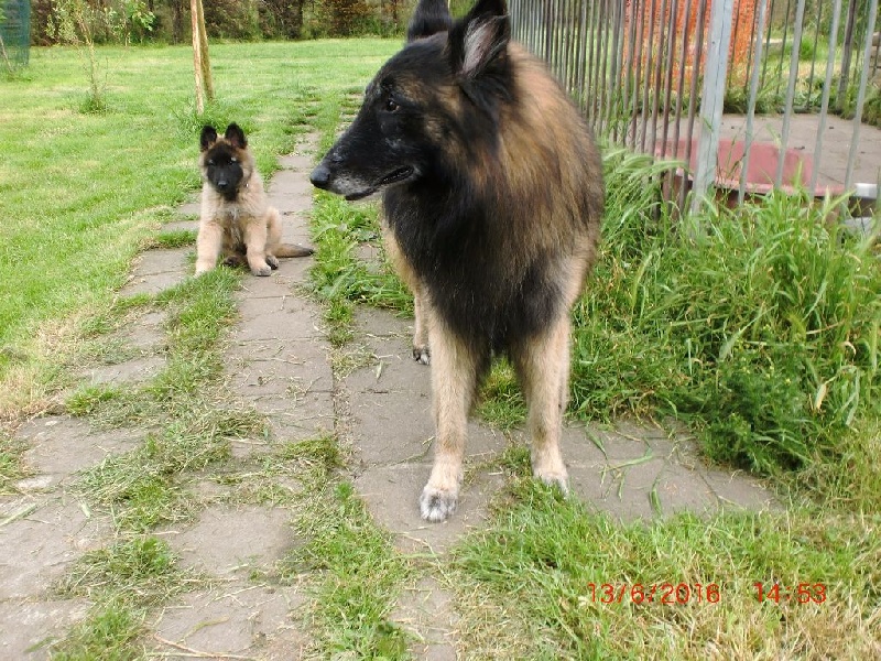 Publication : Du Cap Espérance Auteur : Isabelle Druelle