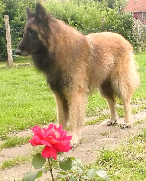 Publication : Du Cap Espérance Auteur : Isabelle Druelle