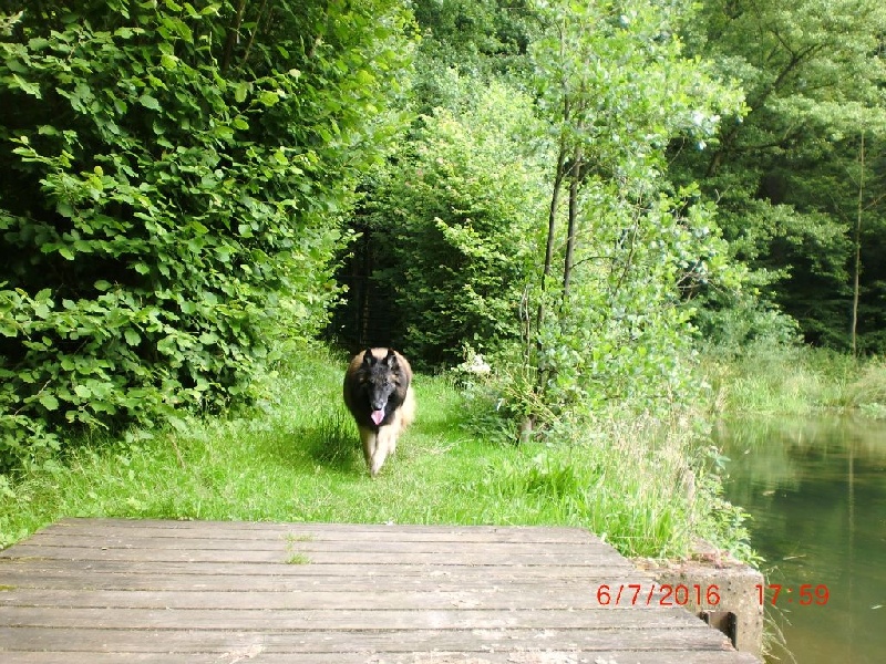 Publication : Du Cap Espérance Auteur : Isabelle Druelle