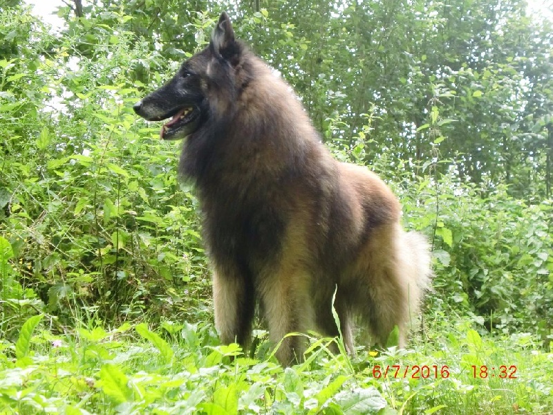 Publication : Du Cap Espérance Auteur : Isabelle Druelle