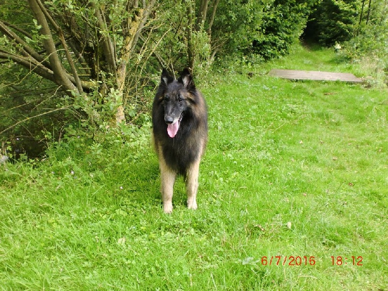 Publication : Du Cap Espérance Auteur : Isabelle Druelle