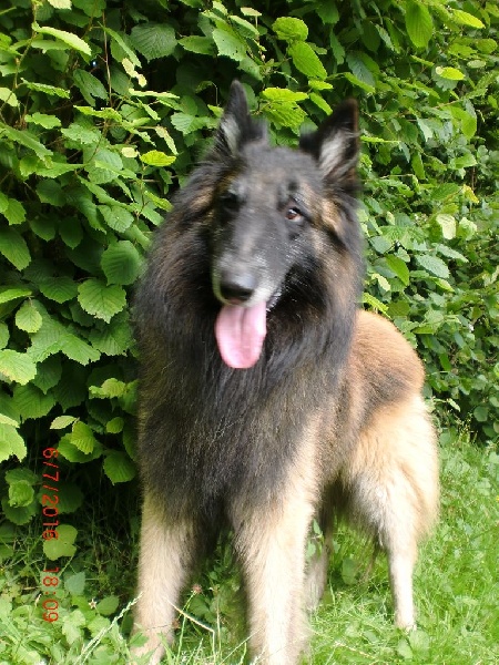 Publication : Du Cap Espérance Auteur : Isabelle Druelle