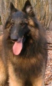 Publication : Du Cap Espérance Auteur : Isabelle Druelle