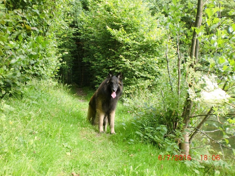 Publication : Du Cap Espérance Auteur : Isabelle Druelle