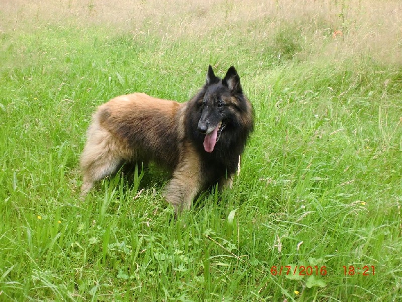 Publication : Du Cap Espérance Auteur : Isabelle Druelle