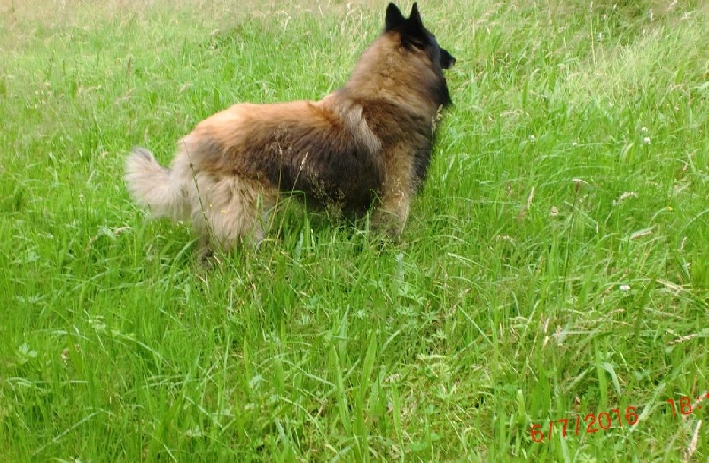 Publication : Du Cap Espérance Auteur : Isabelle Druelle