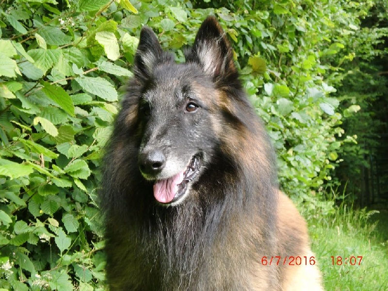 Publication : Du Cap Espérance Auteur : Isabelle Druelle