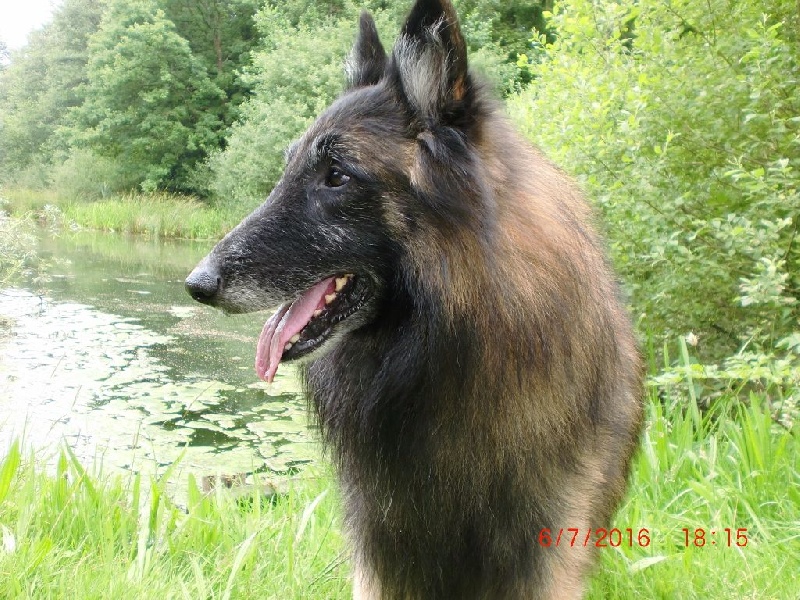 Publication : Du Cap Espérance Auteur : Isabelle Druelle