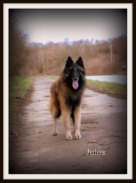 Publication : Du Cap Espérance Auteur : Isabelle Druelle