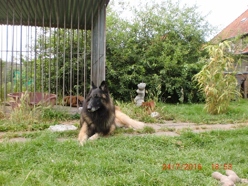 Publication : Du Cap Espérance Auteur : Isabelle Druelle