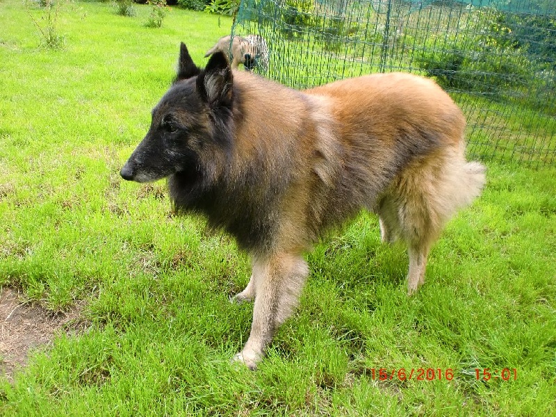 Publication : Du Cap Espérance Auteur : Isabelle Druelle