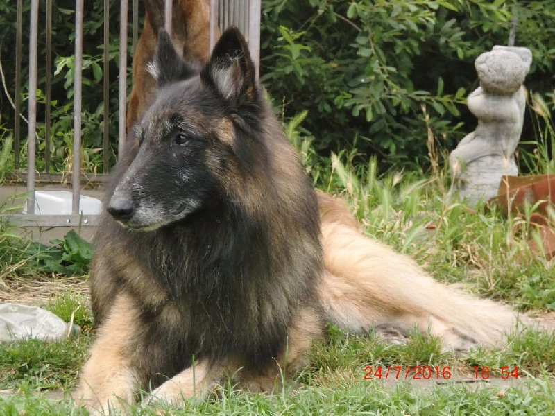 Publication : Du Cap Espérance Auteur : Isabelle Druelle