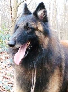 Publication : Du Cap Espérance Auteur : Isabelle Druelle