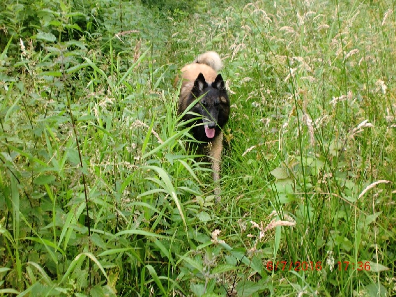 Publication : Du Cap Espérance Auteur : Isabelle Druelle