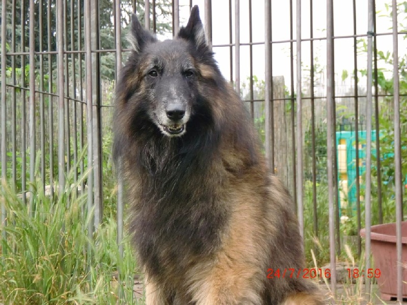 Publication : Du Cap Espérance Auteur : Isabelle Druelle