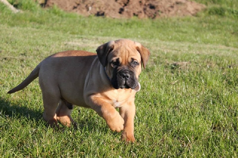 Publication : Pacifique Nielo Staff Auteur : pacifique nielo staff