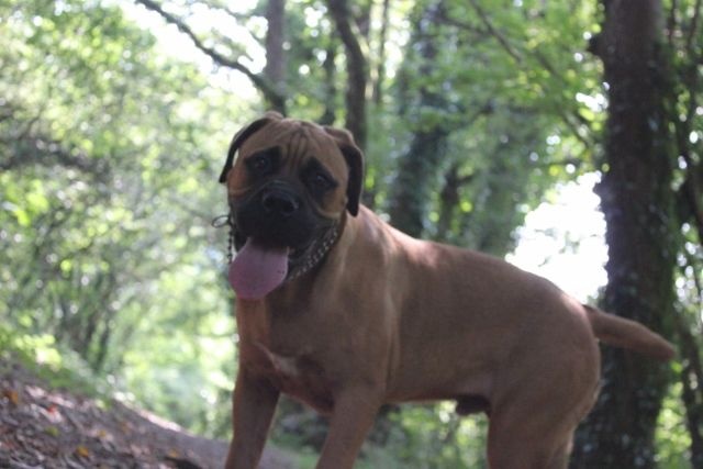 Publication : Pacifique Nielo Staff Auteur : pacifique nielo staff