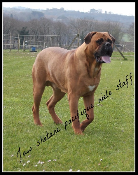 Publication : Pacifique Nielo Staff Auteur : pacifique nielo staff