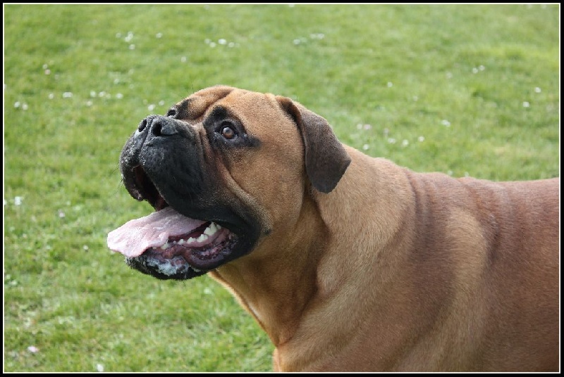 Publication : Pacifique Nielo Staff Auteur : pacifique nielo staff