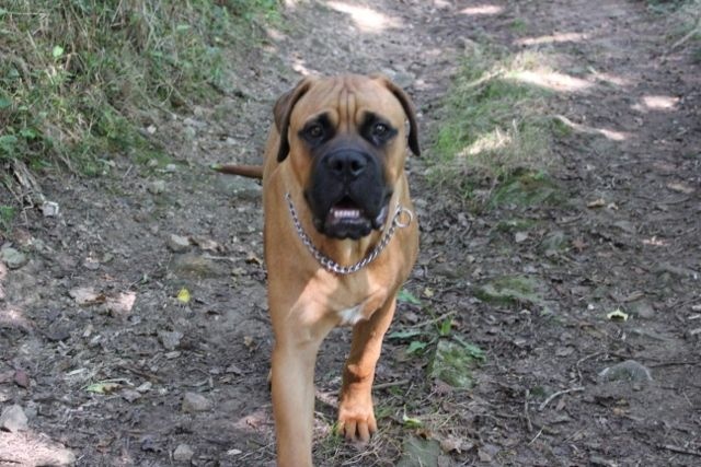 Publication : Pacifique Nielo Staff Auteur : pacifique nielo staff